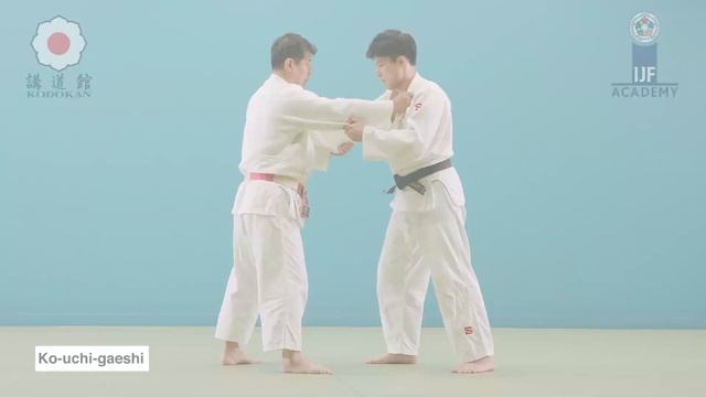Ko-uchi-gaeshi