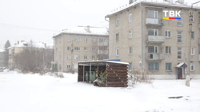 Куда девать новогодние ели, сосны и пихты после новогодних праздников