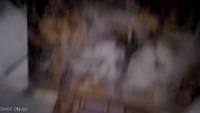 VID_20250110_204334.mp4