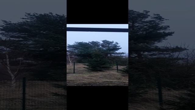 Чарли начанает дуть .строительство,калининград.mp4
