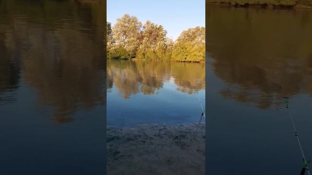 Доброе утро на реке #кубань #рыбалка