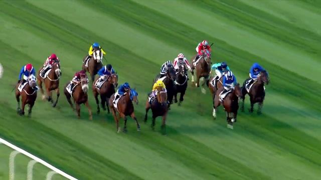 DWC 2016   Race 5   Al Quoz Sprint Sponsored By Meydan Hotels & Hospitality