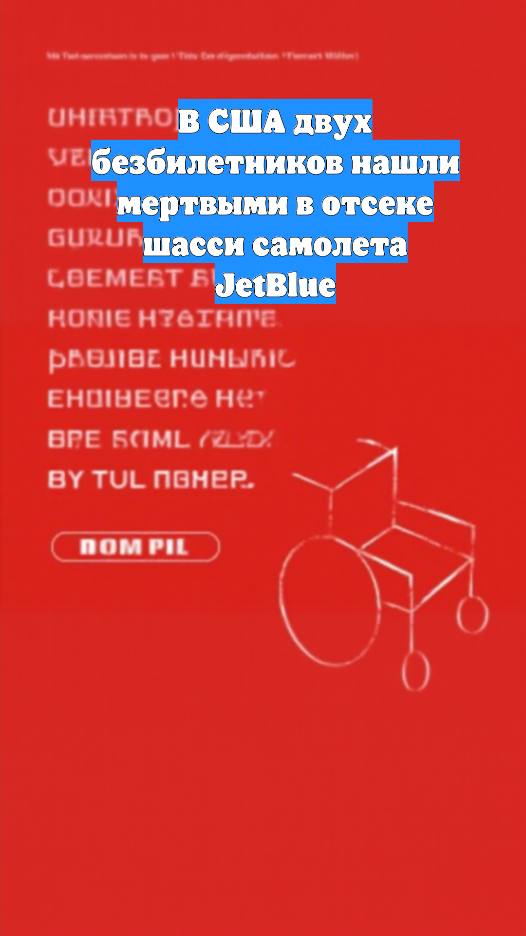 В США двух безбилетников нашли мертвыми в отсеке шасси самолета JetBlue