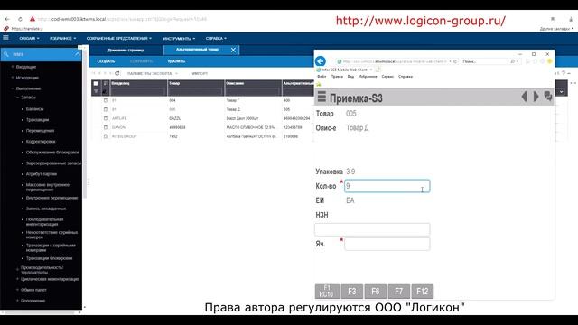 Альтернативный товар в Инфор WMS 11.0.3 _ AltSKU in Infor WMS 11.0.3