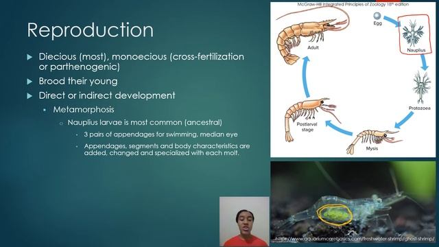 3840_Chapter 20: Arthropoda- Crustacea