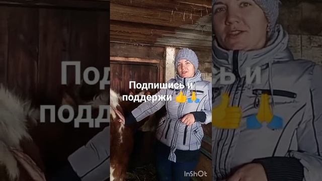 #крс #свиноводство #сельское хозяйство