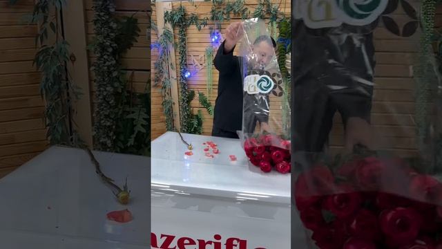 Обманул, но где?