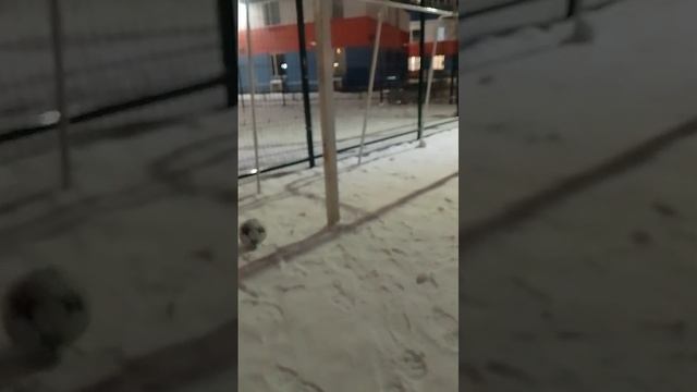 WhatsApp Video 2025-01-10 at 18.20.33