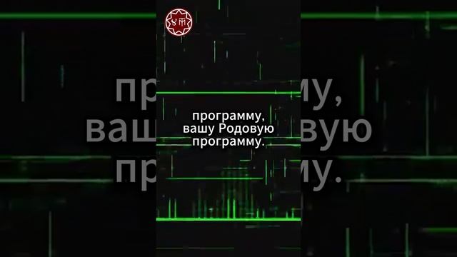 Жизнь программиста