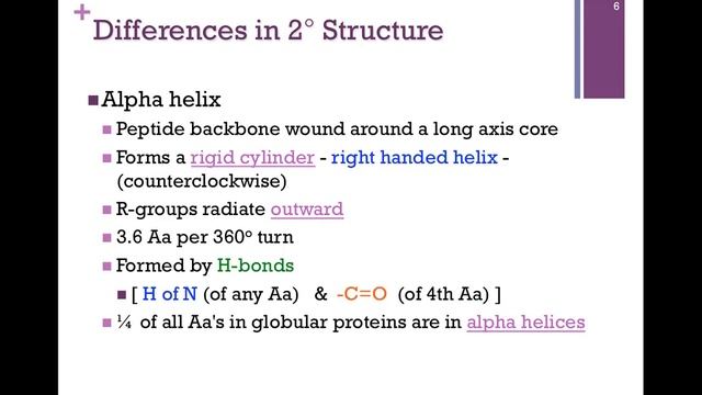 018-Primary & Secondary Structure