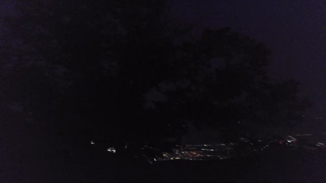 cicadas noise at night in mountain