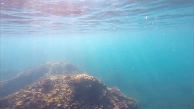 Azorean sea, Diving and snorkeling....true paradise