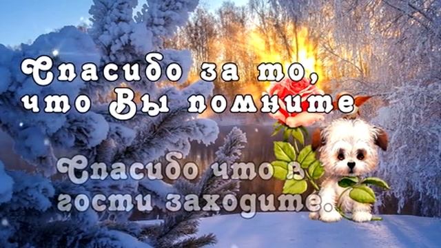 Поздравление с днём спасибо! Видеооткрытка поздравление.