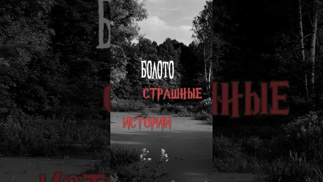 Болото | Страшные истории на ночь | Страшилки на ночь #shorts #shortsvideo
