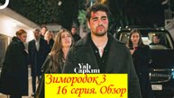 Зимородок 3. Серия 16. Обзор