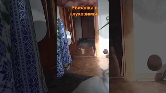 Рыбалка в глухозимье