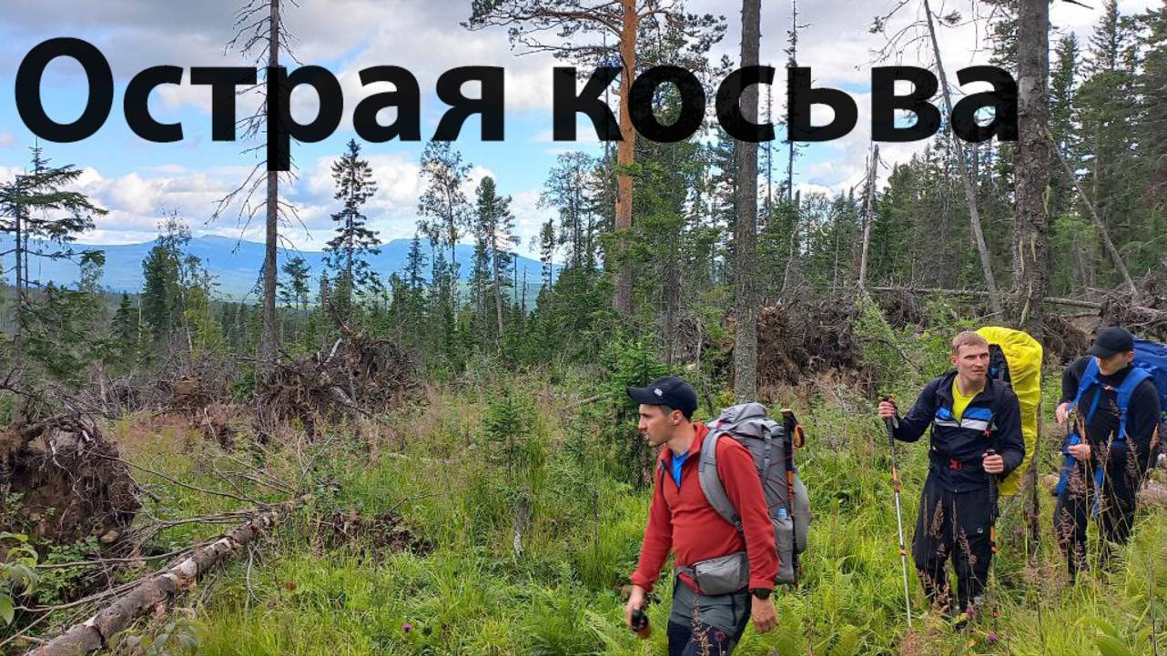 Острая косьва
