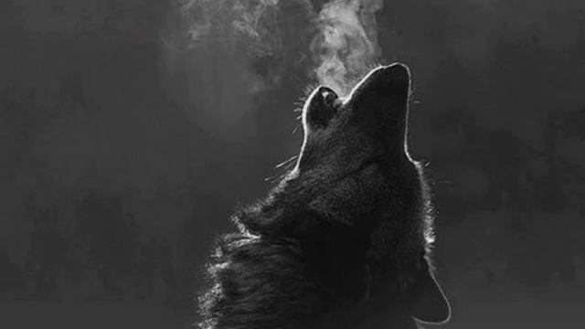 Красивый арабский нашид без музыки