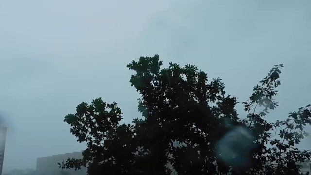 Дуй, ветер!