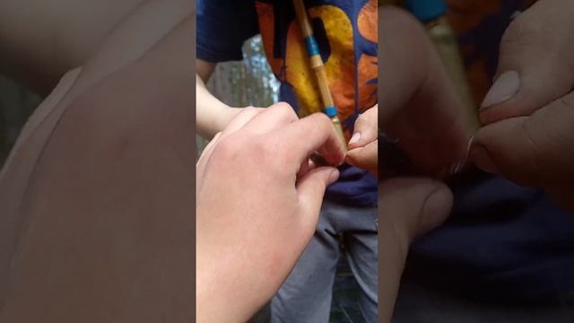 ловим гольянов в карчанаге