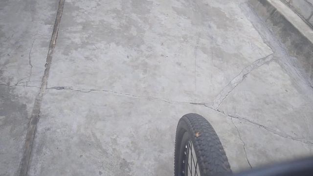гоняю осу с мухой