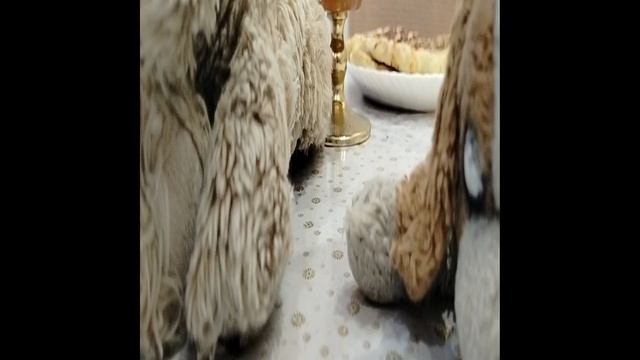1000002413.mp4