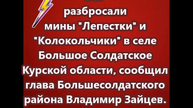 ВСУ разбросали мины Лепестки и Колокольчики в селе Большое Солдатское