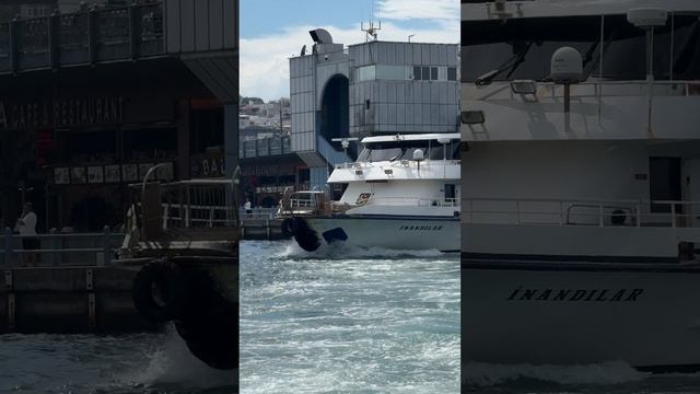 12369268_1080_1920_60fps