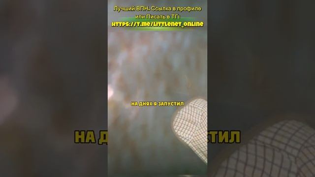 Джереми изучает навоз