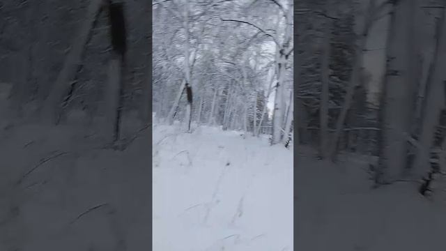 VID-20250110-WA0027