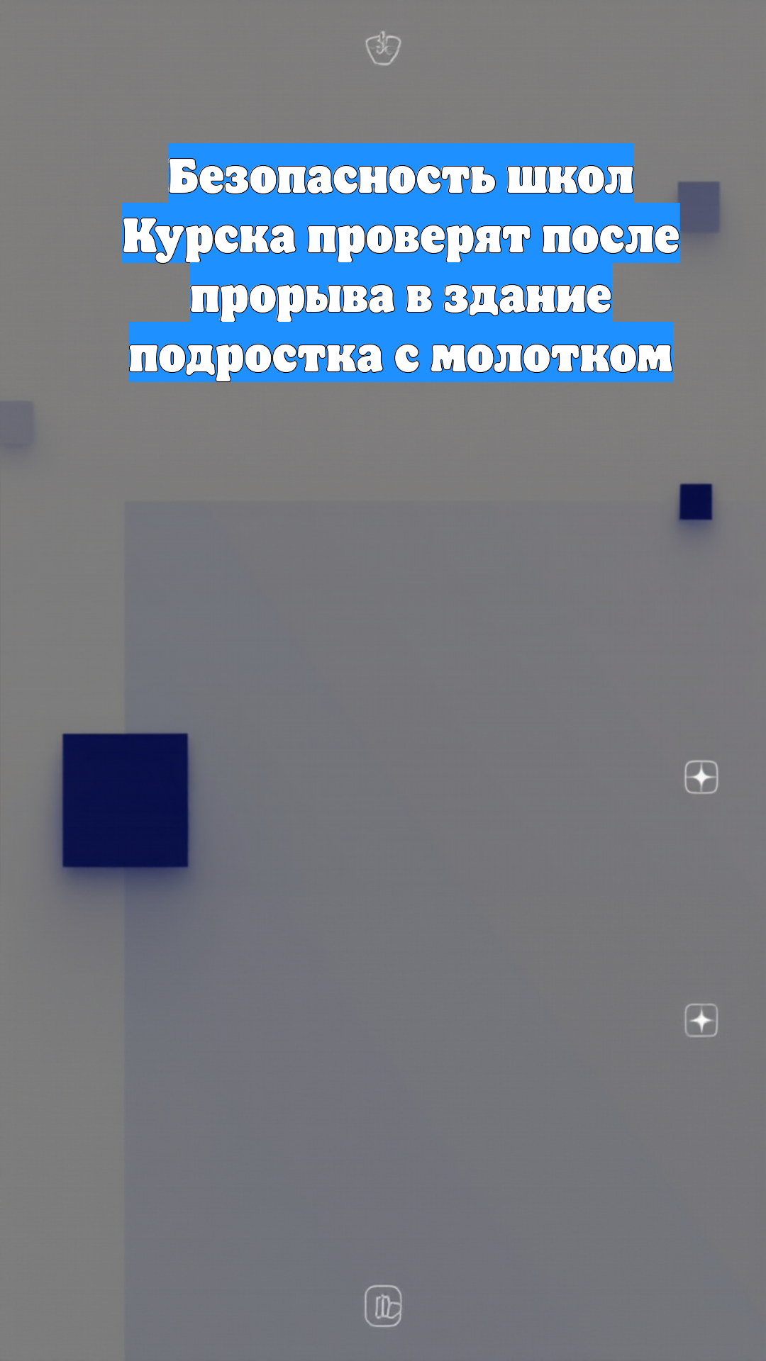 Безопасность школ Курска проверят после прорыва в здание подростка с молотком