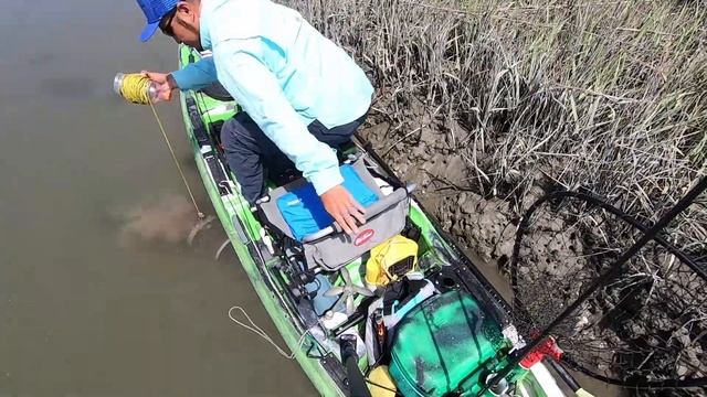 Secret to catching / trapping mud minnows (Flounder and Redfish can't resist these live bait.)