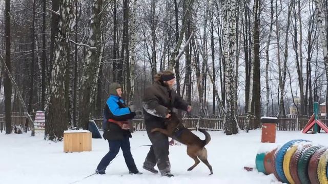 4 декабря 2016 г.