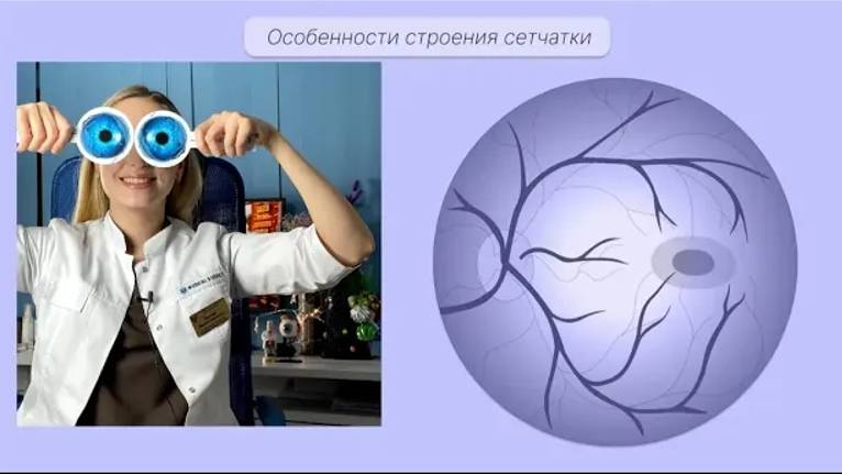 OphthalMONOgy. Сетчатка: строение, функции.
