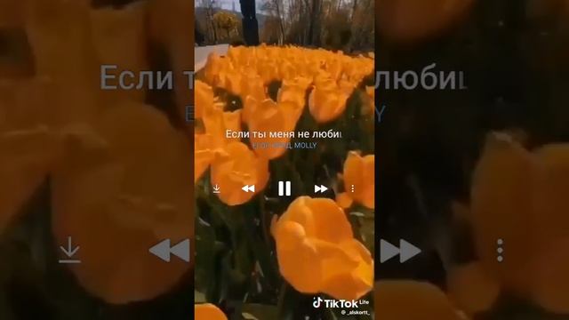 Песни которые ты возможно искал смотри описание видео