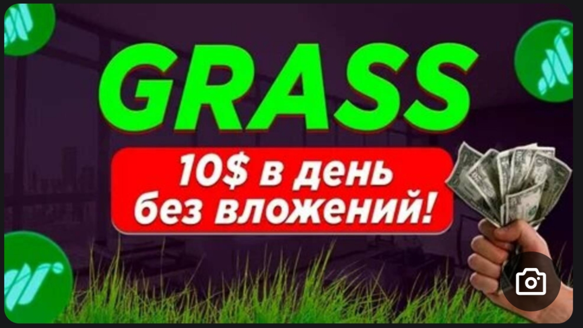 Grass code: hO6X8PH6KdXuw6Z