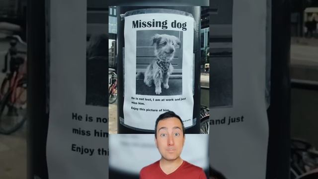 Funny Lost Pet Signs #shorts