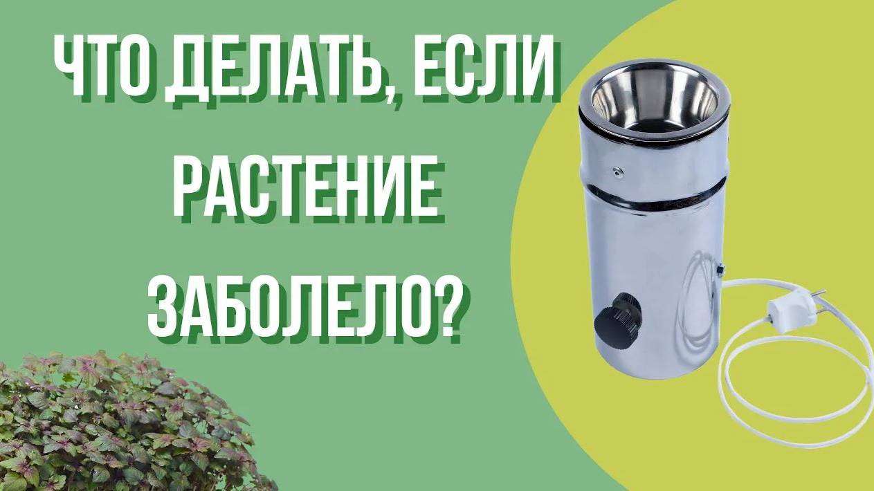 Сульфаратор что такое и для чего он нужен? | Как применять при выращивании Микрозелени