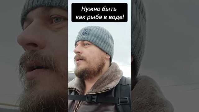 Нужно быть как рыба в воде! #просветление #пробуждение #осознанность #мудрость #жизнь