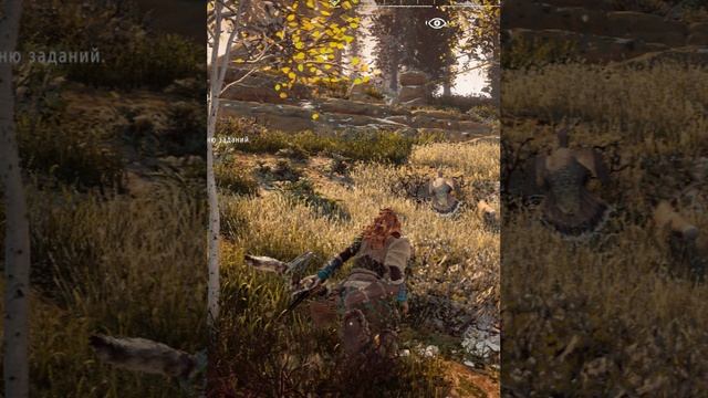 Horizon Zero Dawn - экшен в мире постапокалиптического будущего