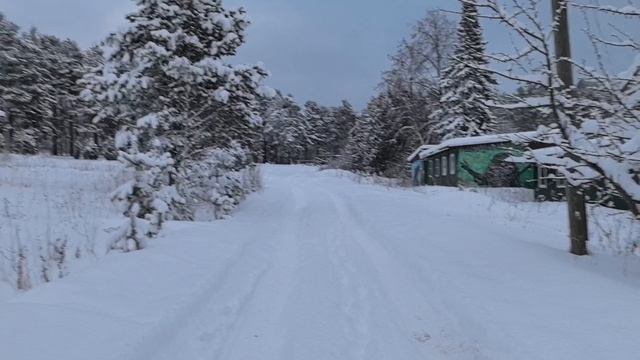 Чёртов стул/Зимняя сказка в Карелии.