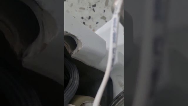 1000086315.mp4