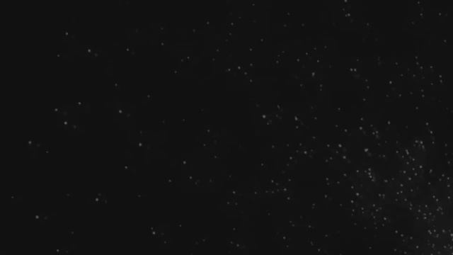 David Marshall - SeXXX Dreams (video lyrics)