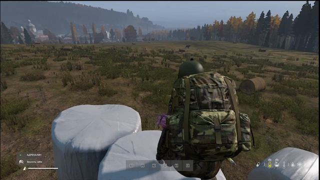 DayZ Standalone - ОДИН НА ОДИН С МЕДВЕДЕМ