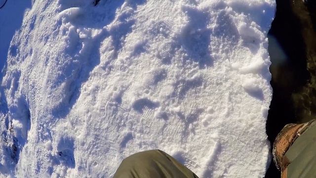 За двумя зайцами: ловля форели со льда и открытой воды