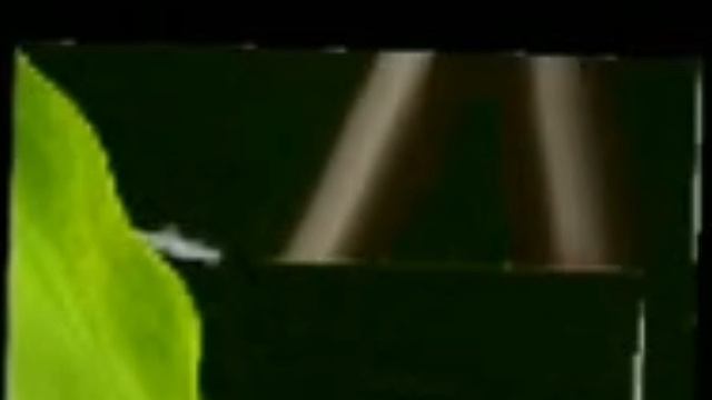 LS