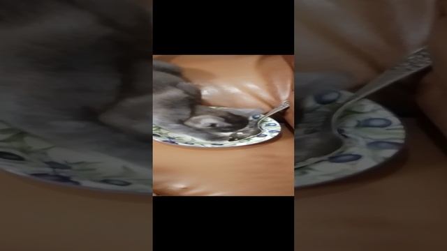1000002249.mp4