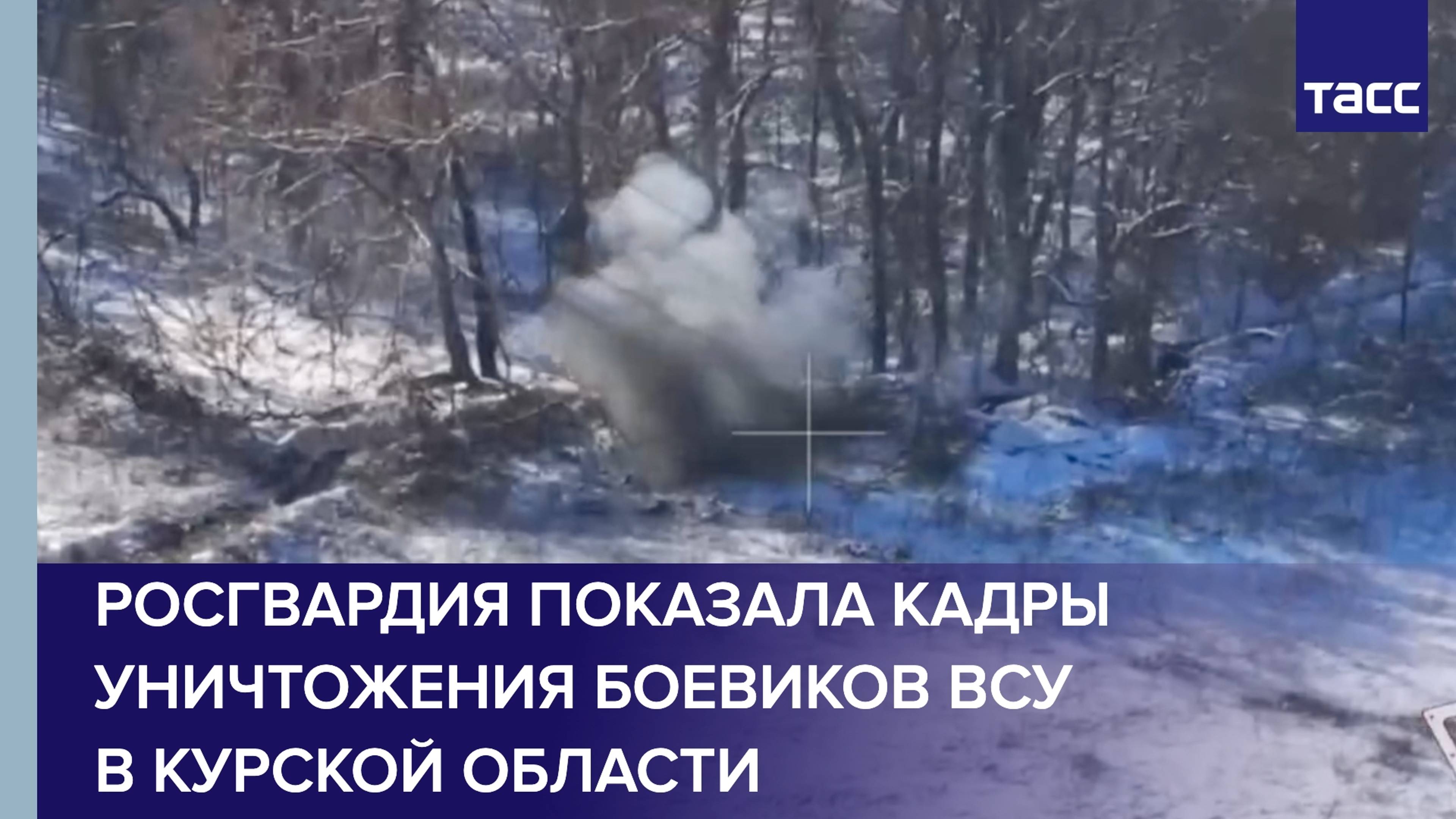 Росгвардия уничтожила укрепрайон ВСУ в Курской области