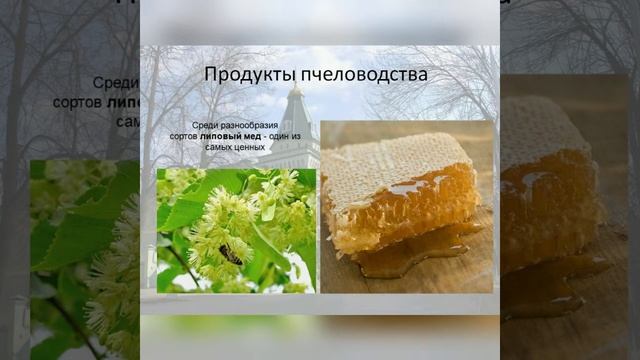 Продукты пчеловодства