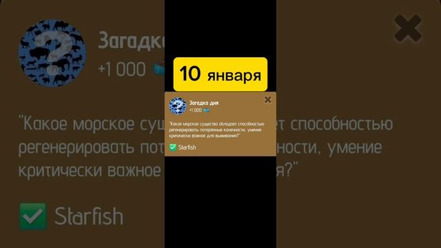 Загадка дня zoo. Вопрос зоо на сегодня 10 января 2025. Получить бонус.

Сегодня 10 января. Ответ